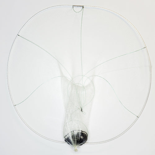 Hoop Net Examples The BallyHoop | Aluminum Collapsible Hoop Net